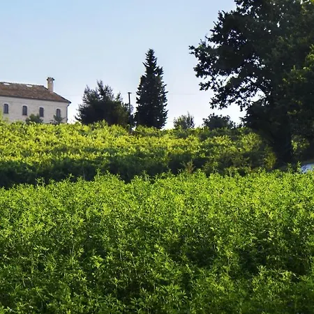 Villa Spacious In Montecarotto With Mountain View And Pool Casa Vici