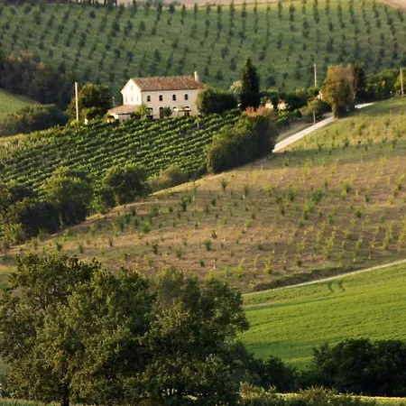 Villa Spacious In Montecarotto With Mountain View And Pool Casa Vici