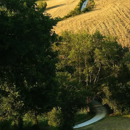 Spacious In Montecarotto With Mountain View And Pool Casa Vici