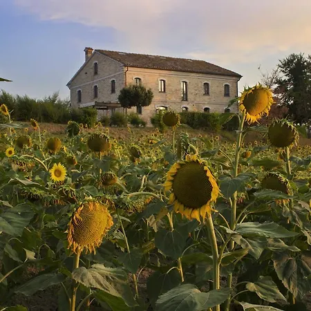Spacious In Montecarotto With Mountain View And Pool Villa