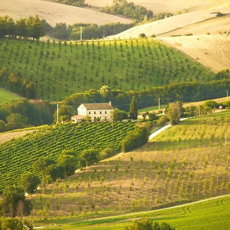 Spacious In Montecarotto With Mountain View And Pool Casa Vici