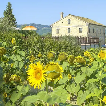 Villa Spacious In Montecarotto With Mountain View And Pool *